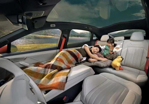 樂道l60迎來下線,看完內飾網(wǎng)友們直呼 還買啥model y